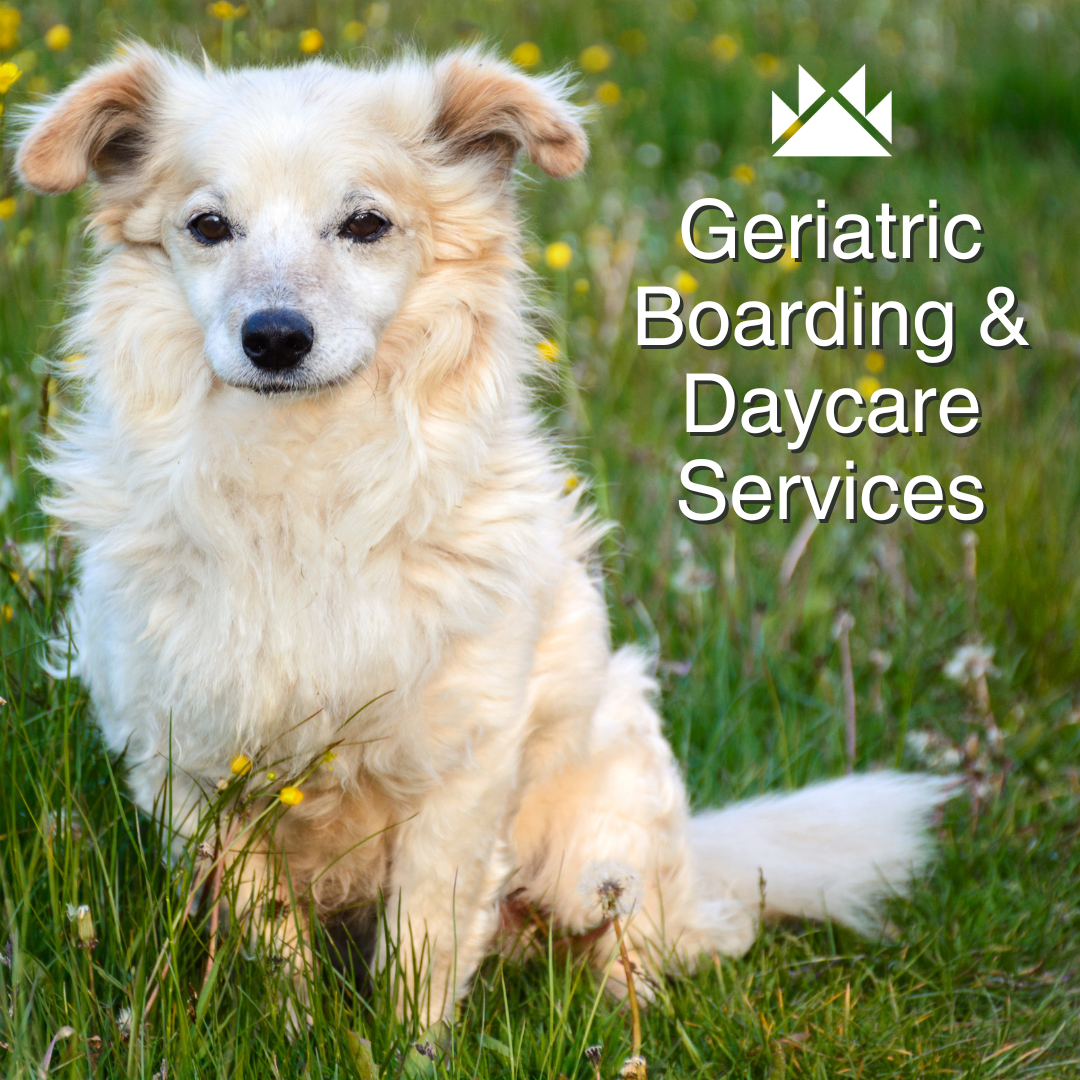Geriatric Boarding & Daycare Services